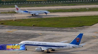 新桥机场航空加急服务类型及适用场景