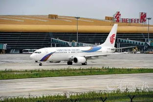 新桥机场航空快件的核心优势解析
