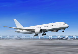 一、新桥机场空运服务核心优势解析