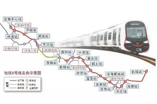 一、新桥机场货运区核心竞争力解析