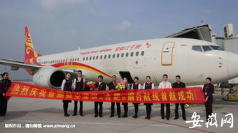 新桥机场航空快递服务网络解析