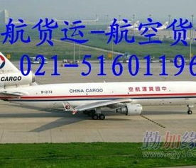 一、新桥机场托运服务基础设施