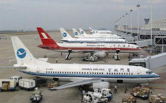 新桥机场空运运输基础设施概况