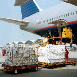 新桥机场药品空运的核心优势