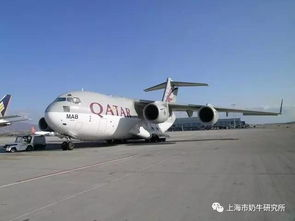 一、新桥空运国内服务的战略价值