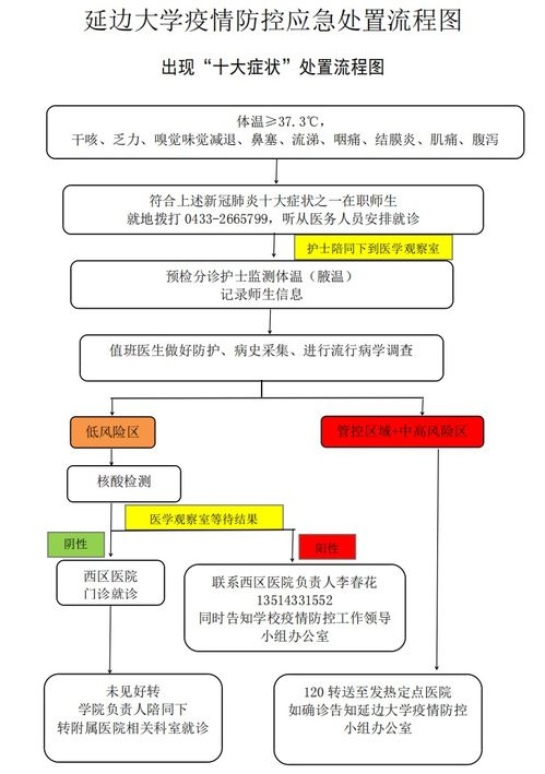 一、新桥空运核心操作流程详解