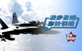 新桥空运全流程深度解析