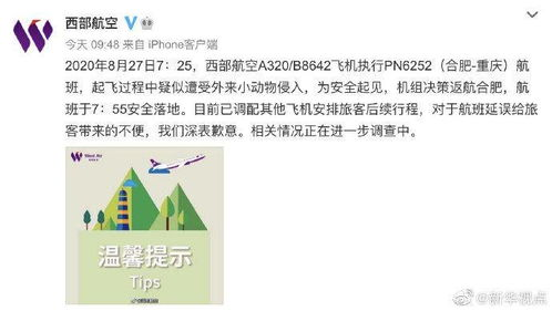 一、新桥随航空邮寄的核心竞争力