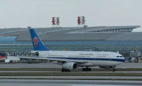为什么选择新桥的航空快递公司？