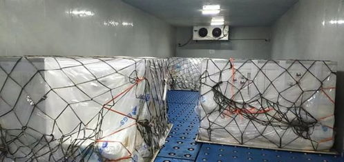 航空冷链运输的技术突破