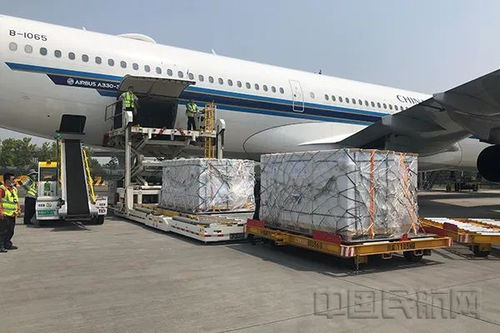 新桥生鲜航空物流的枢纽优势解析