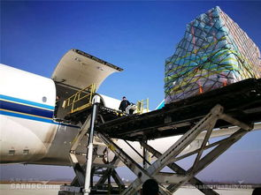 航空物流在新桥配件运输中的核心价值