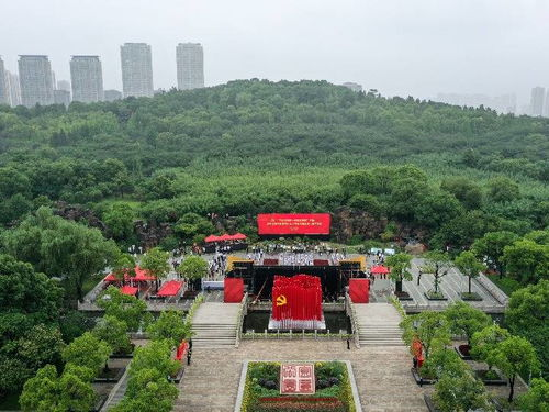 新桥空运加急服务的核心优势