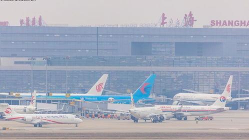 一、新桥机场货运的战略定位与业务优势