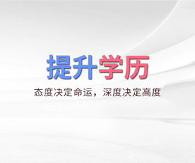 航空快运领跑者的成长之路