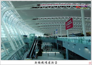 新桥机场快运服务核心优势解析