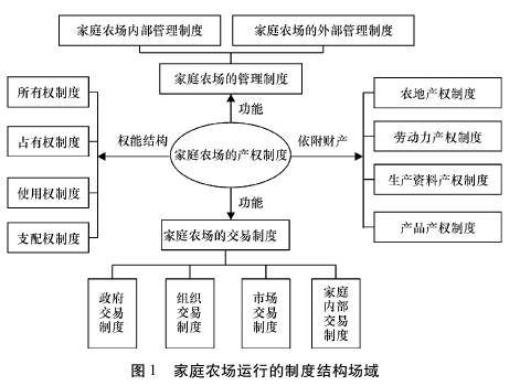 一、新桥机场加急物流运作体系解析