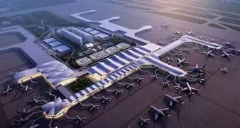 新桥机场航空快运服务体系解析
