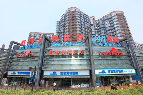 一、南宁江南宠物医院服务范围