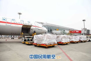 成都机场加急快递的核心优势解析