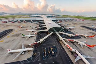 成都空港货运枢纽的独特优势