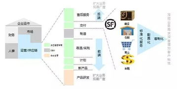 成都机场快递公司运营体系解析