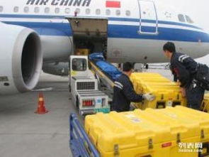 成都空运急件市场现状与行业标准