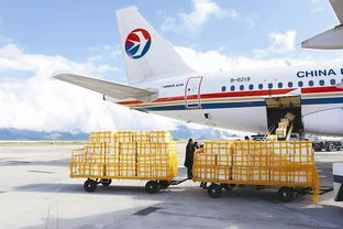 成都鲜活空运的产业基础