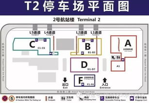 一、成都机场快递服务流程详解