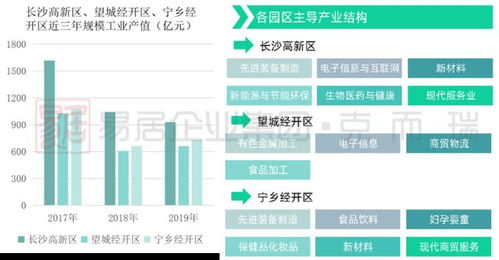 一、双枢纽联动运营格局