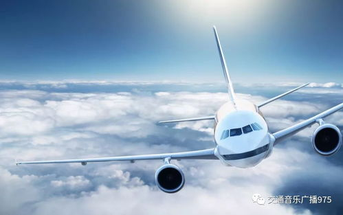 成都飞机航空速递服务体系解析