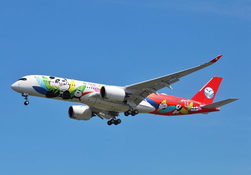 一、成都服饰产业与航空物流的共生关系