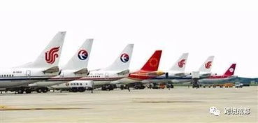 一、成都航空货物运输的核心优势