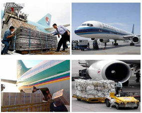 一、成都航空货运核心联络方式解析