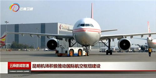 一、国家级航空枢纽的物流引擎
