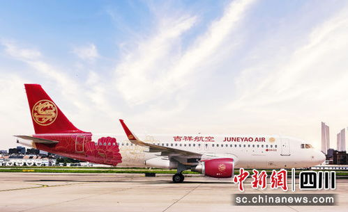一、成都航空货运服务概览