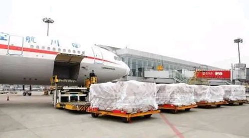一、成都机场航空货运全流程服务体系解析