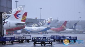 成都机场空运核心优势解析