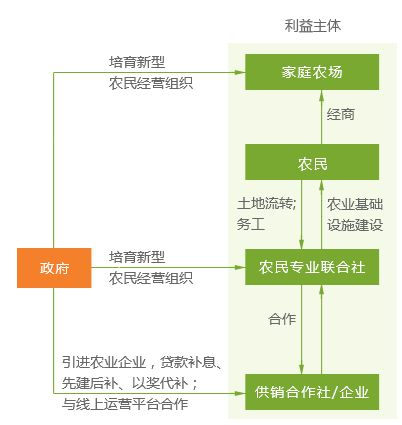 一、航空货运新模式的运作机制解析