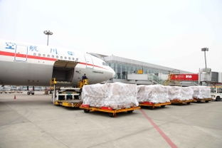 成都双机场当日航空快件服务详解