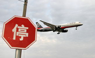 一、双流航空公司快件服务优势分析