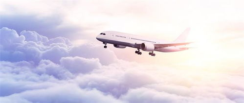一、双流航空国内运输服务概述