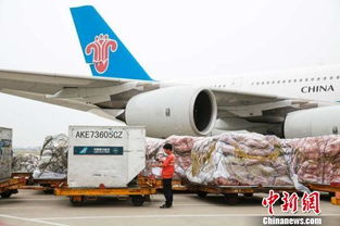 一、双流航空货运部简介
