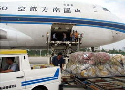 一、双流航空货运特急服务的优势
