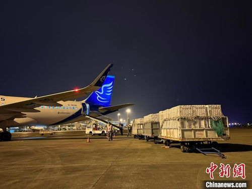 一、双流航空加急运输的优势