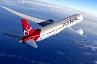 一、双流航空空运网概述