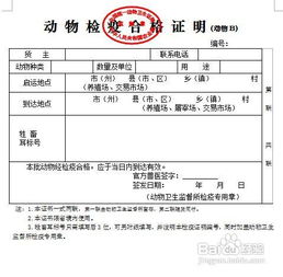 一、双流航空物流宠物托运流程详解