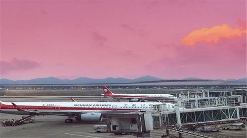 一、双流机场航空运输现状