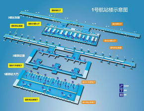 一、双流机场货物运输的基本流程
