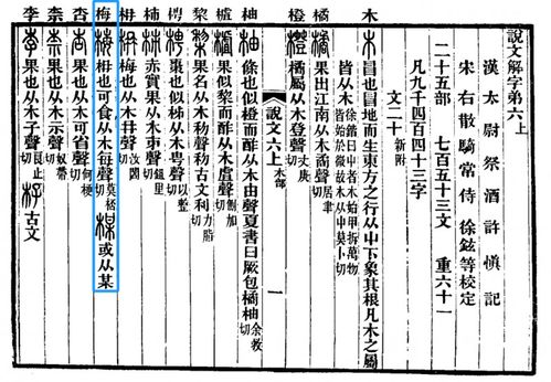袖手傍观,社会现象解析与应对策略